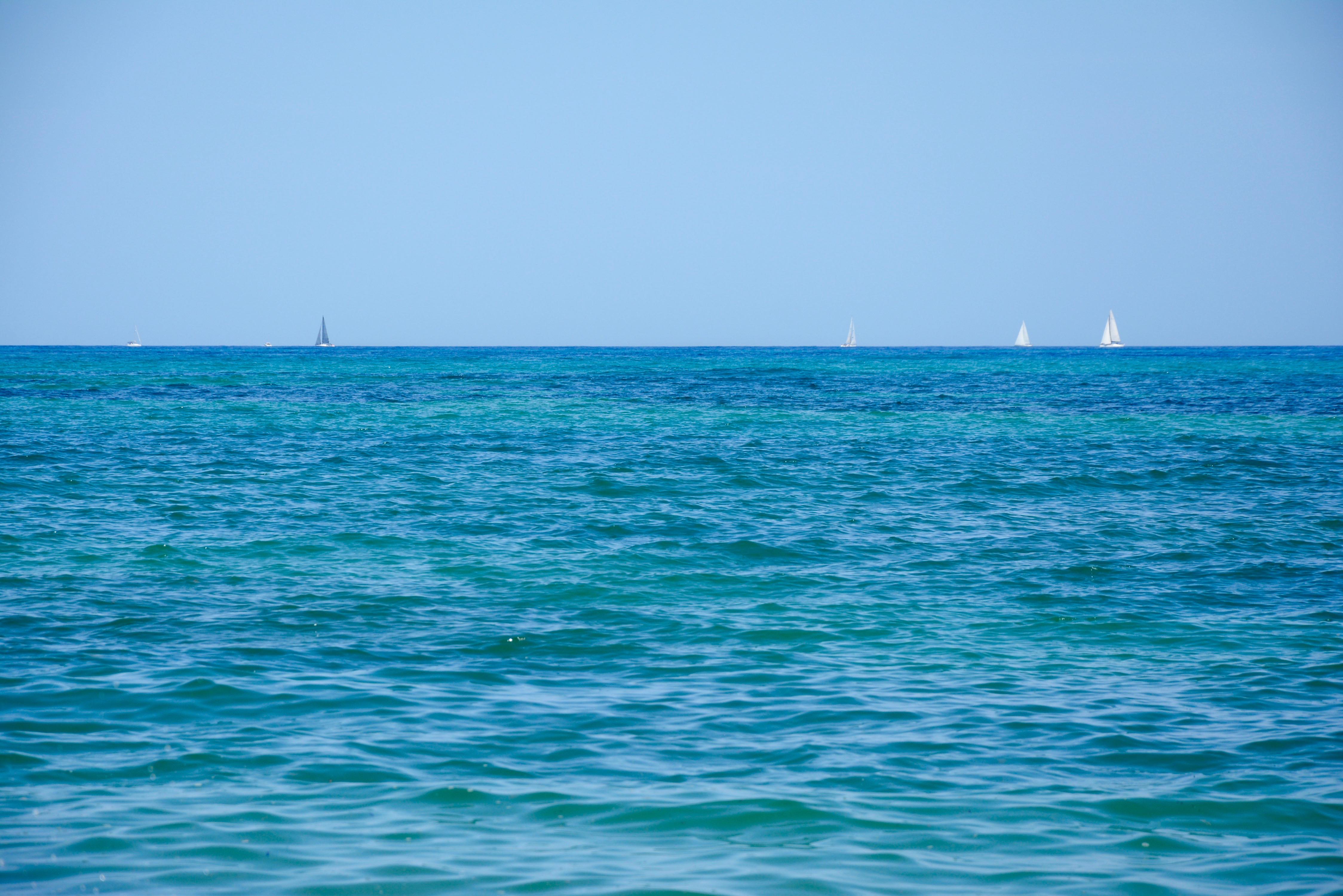 bleushorizondsc_0172