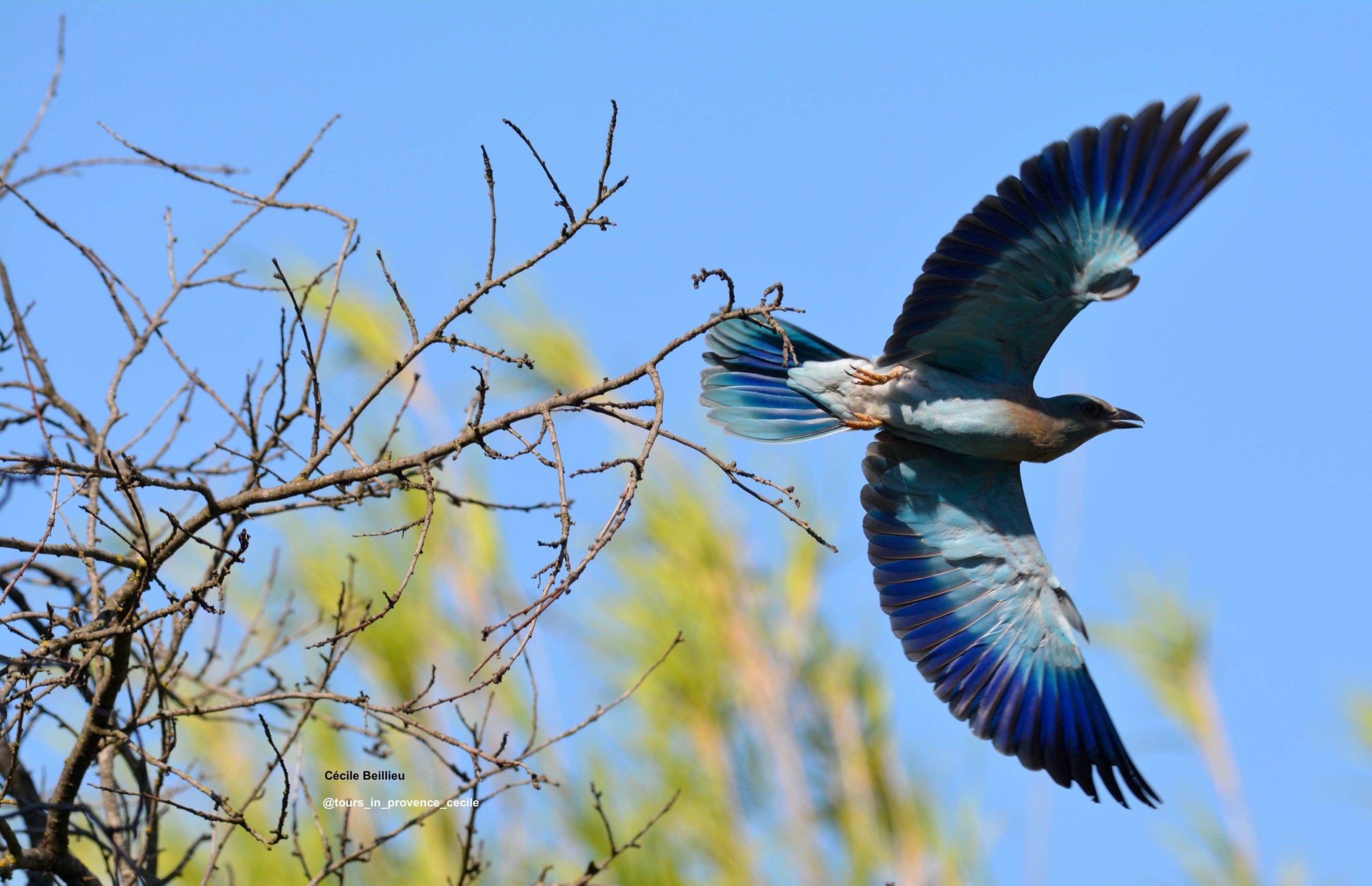 Rollier Europe Eygaliere Destet