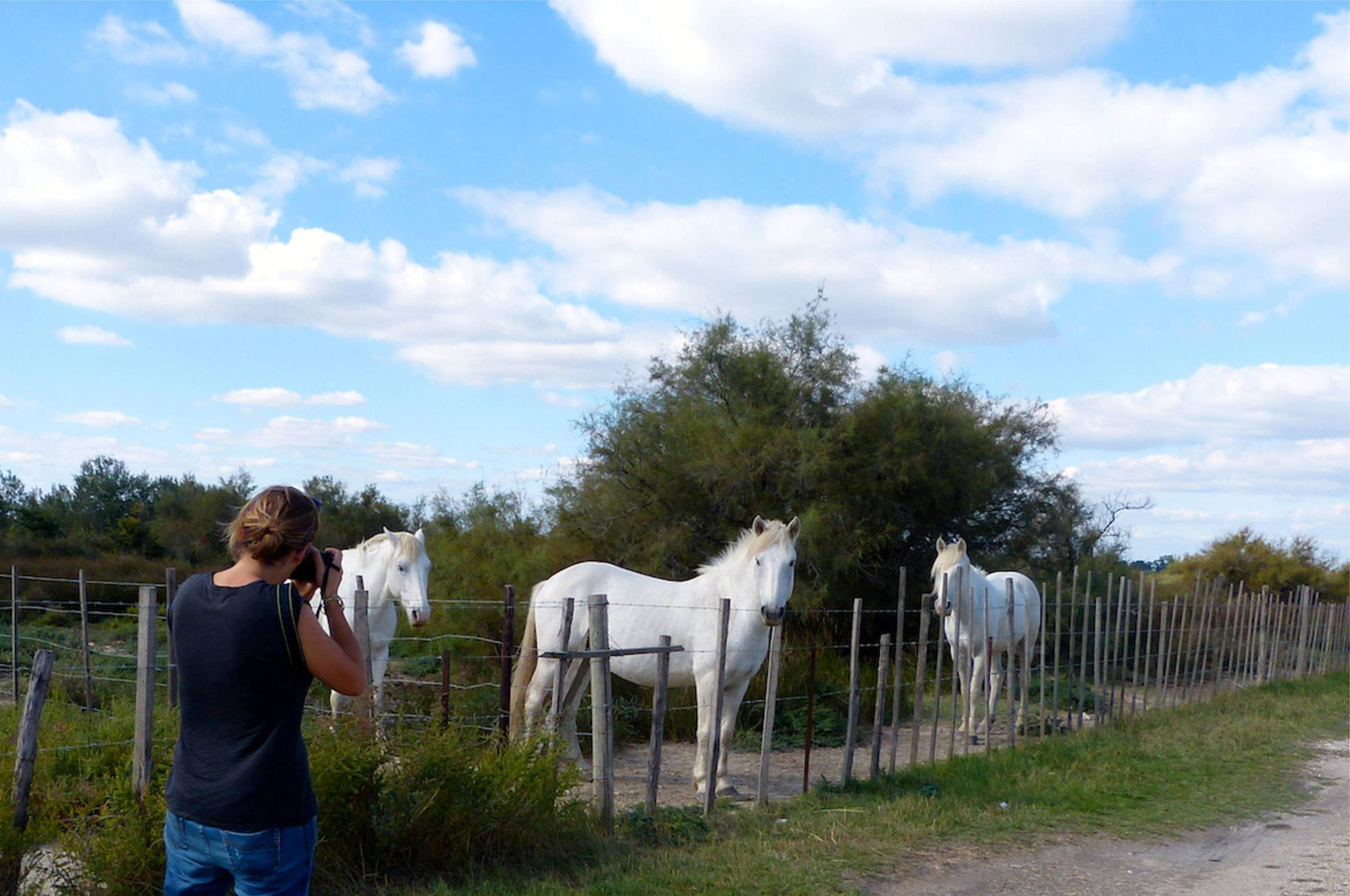 tour-camargue