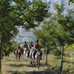 riding in provence