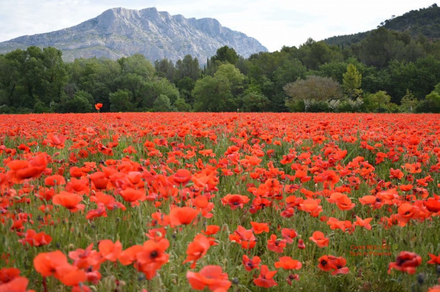 Aix-en-Provence and the Sainte Victoire Mountain