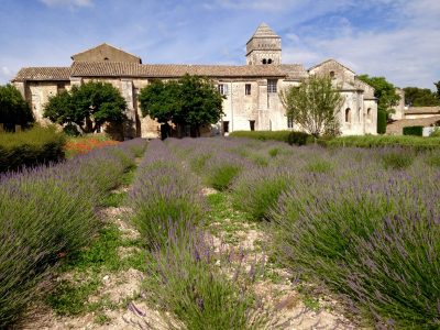 Vincent Van Gogh in St-Remy-de-Provence