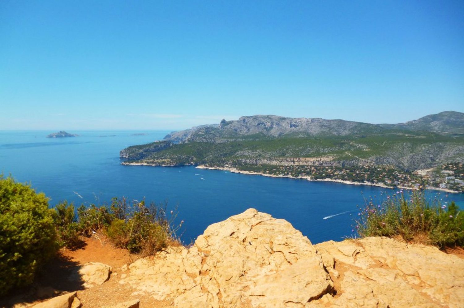 Cassis Mediterranean sea