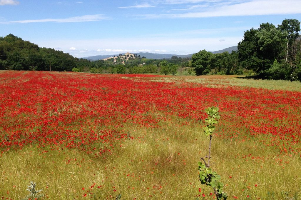 tours-provence contact