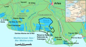 camargue-carte-geographique-
