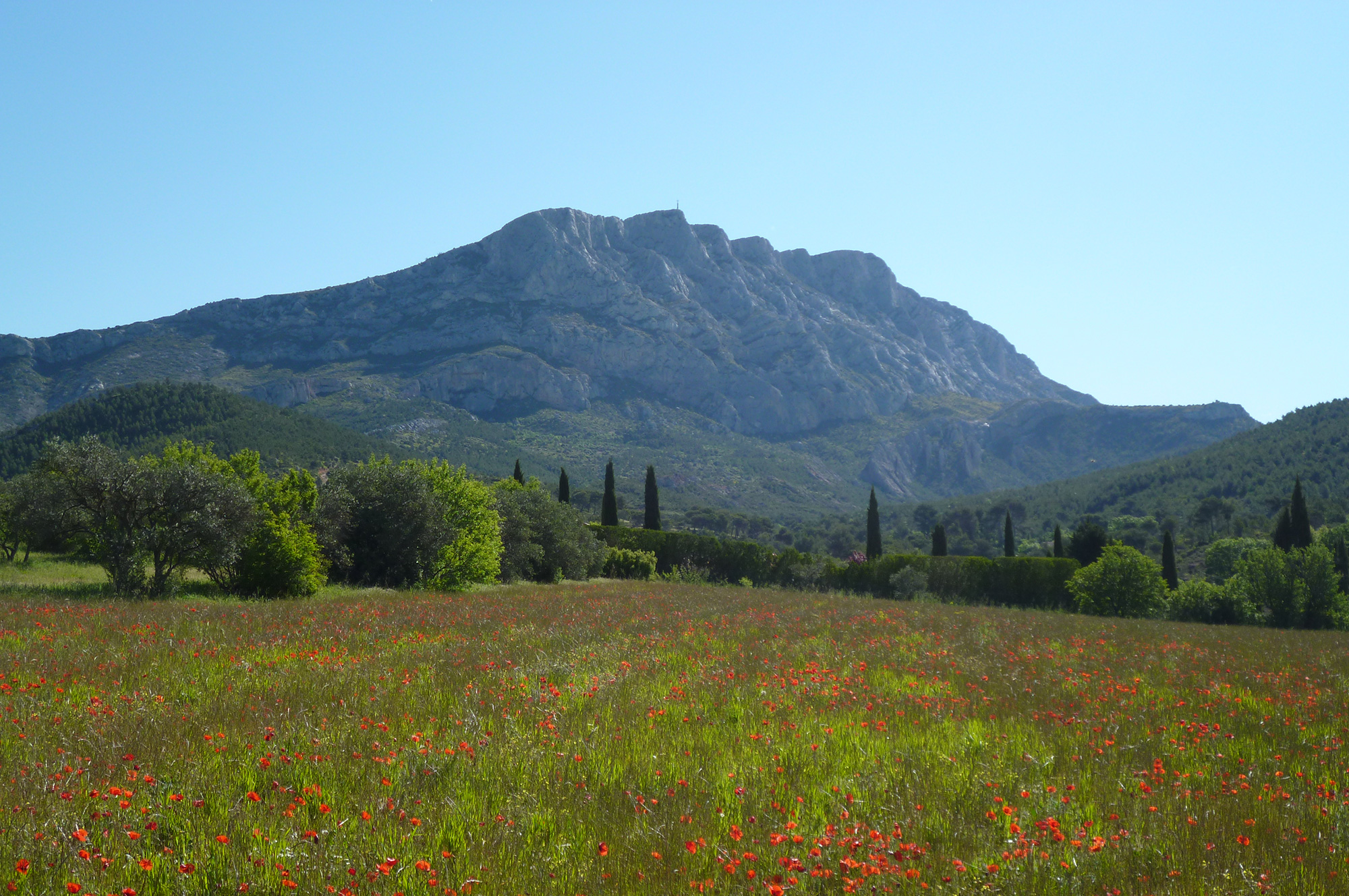 provence sainte-victoire